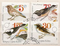 [Birds - Cyprus Wheatear, type WF]