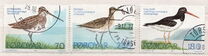 [Bird Life, tip Q]