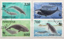 [North Atlantic Whales, Scrivi GJ]