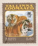 [Reval Zoo, tip GO]