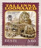 [Reval Zoo, type GV]