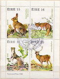 [Game Animals, type GS]