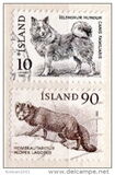 [Fauna - Icelandic Dog and Arctic Fox, type LN]