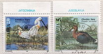 [Birds - European Nature Conservation, type DCN]