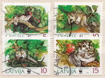 [The Fat Dormouse, type EW]