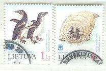 [Sea Museum - Marine Life, type NR]