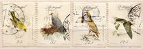 [Rare Birds, סוג BV]