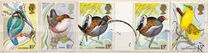[The 100th Anniversary of the Protection of Birds, Вид TZ]
