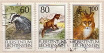 [Hunting, type ALF]