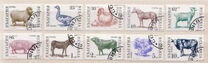 [Domestic Animals, type EKH]