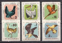 [Nature Conservation - Birds, type ALV]