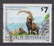 [Hunting and the Environment, Scrivi BTK]