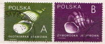 [Stamps for Domestic Mail: Shells of Snails, Tip DDD]