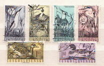 [Water Birds, type YY]