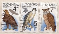 [Nature Conservation - Birds of Prey, Scrivi DH]
