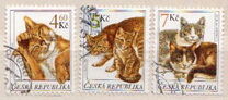 [Cats, 유형 GS]