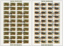 [Protected Animals - Snakes, Typ AM]