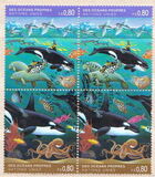 [Protection of the Sea, tegund GD]