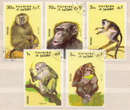 [Apes and Monkeys, Tip ABC]