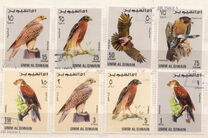 [Birds - Falcons, type HQ]