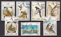 [Fauna - Birds, タイプ ACZ]