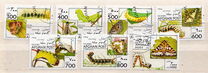 [Fauna - Butterflies & Silkworms, type AMK]