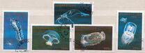 [Marine Life, tegund EQ]