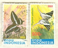 [Butterflies, type AWU]