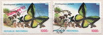 [Opening Ceremony of the Insectarium in Jakarta, Вид BDL]