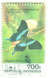 [International Butterfly Conference, Ujungpandang, type BEH]