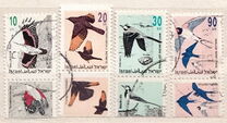 [Songbirds, type ATA]