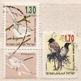 [Songbirds, Вид AUG]
