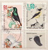 [Songbirds, type ATJ]
