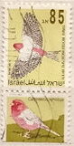 [Songbirds, type AUM]