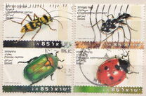 [Beetles, type AUN]