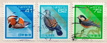 [Definitive Issue - Birds, タイプ CKL]