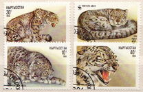 [The Snow Leopard, Вид X]