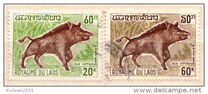 [Wild Animals, typ KF]