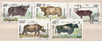[Mammals, סוג AUF]