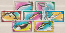 [Whales and Dolphins, type BWP]