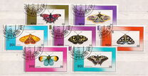 [Butterflies, Typ BYM]