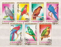 [Parrots, type BYE]