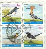 [Protected Wild Animals - Birds, Tipi AIO]