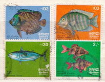 [Fish, type D]
