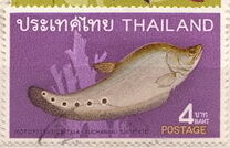 [Thai Fish, type LD]