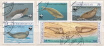 [Worldwide Nature Protection - The Caspian Seal, Typ R]