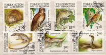 [Fauna of Uzbekistan, type G]