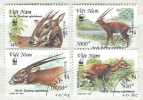 [Endangered Species - Saola, 类型 CCB]