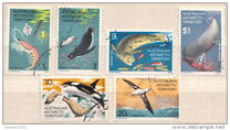 [Marine Life and Aircraft in the Service of Antarctic Research, tip W]