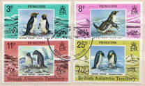 [Penguins, 类型 BH]